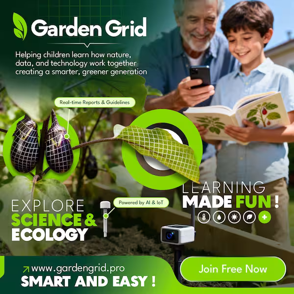 Volunteers planting in the garden